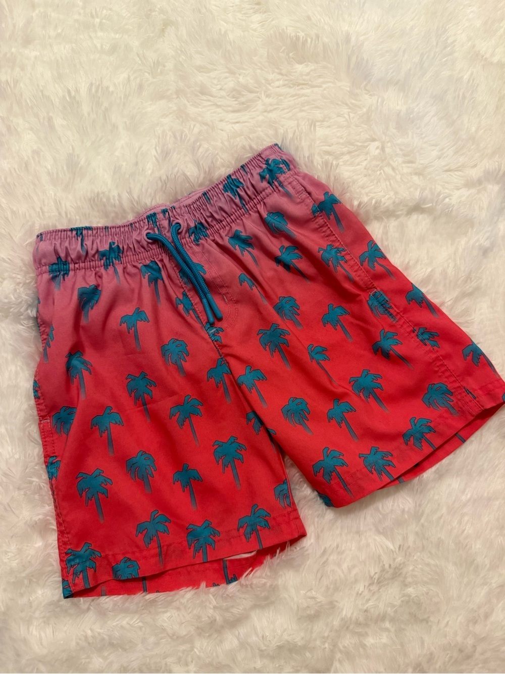Boys Cat & Jack Swim Trunks